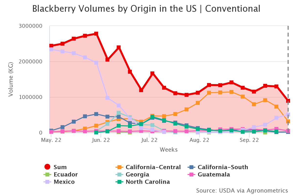 blackberry volumes by or